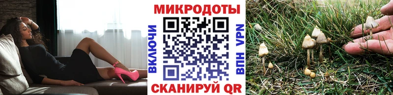 Купить где  Кондрово  Галлюциногенные грибы Magic Shrooms 